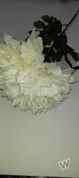 Chryzantéma 90cm biela